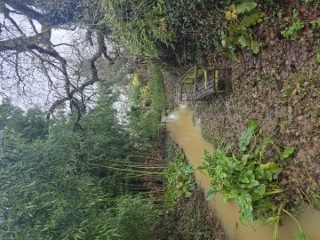 lavoir défluence loin
